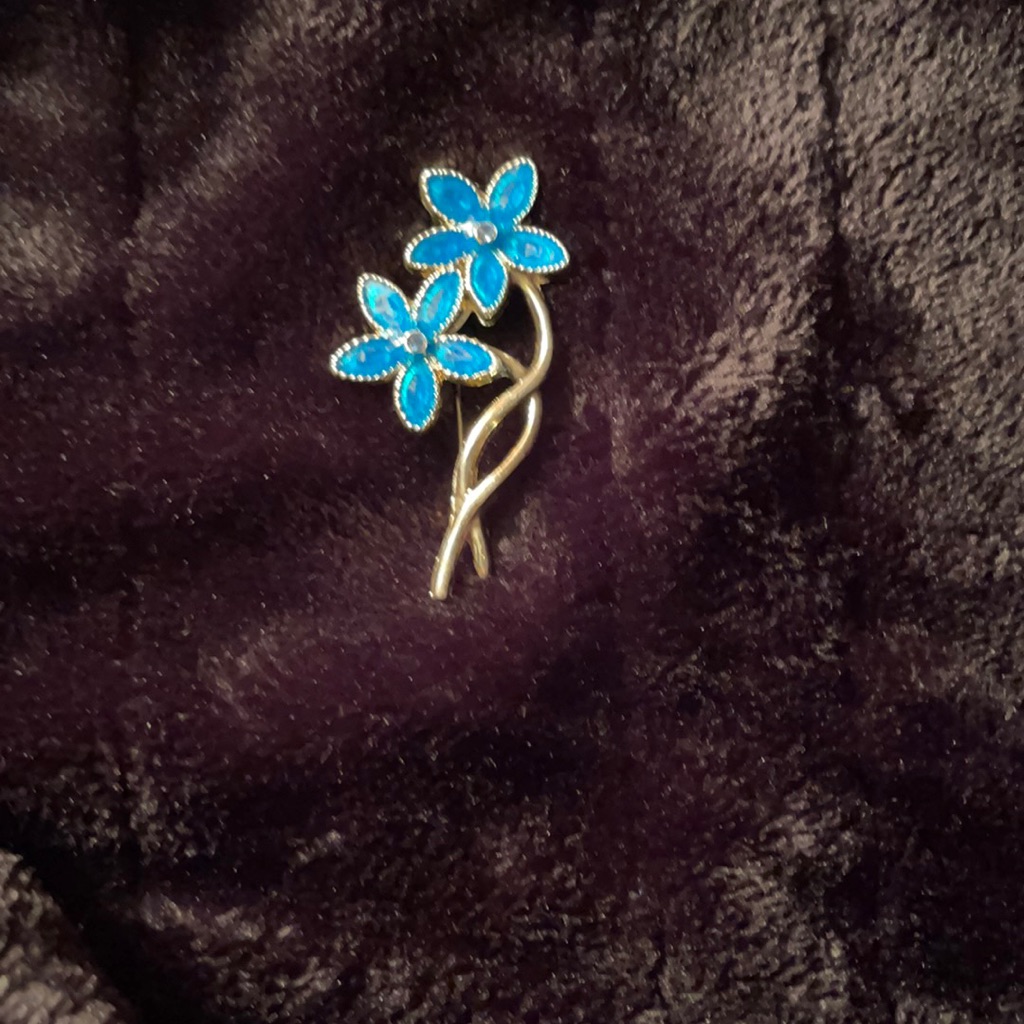 Vintage Pin BlBl